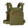 asgbox.pl - Sentry Plate Carrier Condor