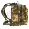 Invader Gear Mod 1 Day Backpack Gen II Everglade OD-TM-10828276500 26851 asgbox.pl