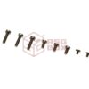 Retro Arms V2 Gearbox Screw Set OD-TM-10955400000 29470 6559 asgbox.pl