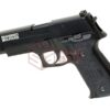 AW Custom Swiss Arms P226R Full Metal GBB Black OD-TM-10997206000 30235 asgbox.pl