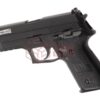 AW Custom Swiss Arms P229R Full Metal GBB Black OD-TM-11037706000 asgbox.pl
