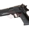 Magnum Research Desert Eagle .50 AE AEP Black OD-TM-11223806000 35262 asgbox.pl