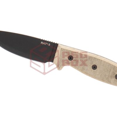 Alternative view of Ontario RAT-3