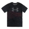 asgbox.pl - UA Big Logo SS Under Armour