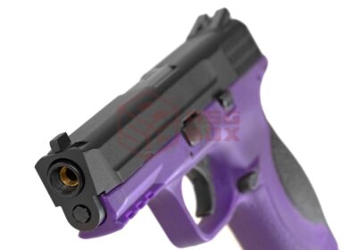 WE  Purple - obrazek 5