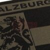 Clawgear Salzburg Shield Patch RAL7013 OD-TM-10726633200 24509 asgbox.pl