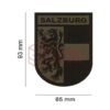 Clawgear Salzburg Shield Patch RAL7013 OD-TM-10726633200 24509 asgbox.pl