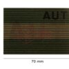 Clawgear Dual IR Patch AUT RAL7013 OD-TM-10861733200 27796 asgbox.pl