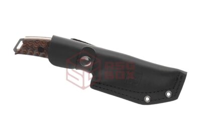 Willumsen Birddog Wood - obrazek 3