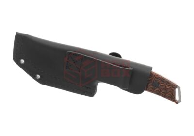 Willumsen Birddog Wood - obrazek 4