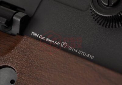 GR14 E.T.U. S-AEG IWS - obrazek 6