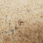 CNC Anti-Reversal Latch for Gearbox Ver.2 / 3