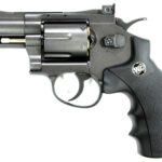 ASG CO2 Dan Wesson 2.5" Revolver - Gray