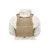 WAS DCS Elite Ops Plate Carrier, AR15 Open Pouches - Coyote OD-A-W-EO-DCS-DA-5.56-M-C asgbox.pl