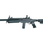 ASG Special Teams Carbine Ruger 10/22 GNB - Black