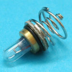 R500 Bulb