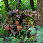 Novritsch LEAF CAMO 3D Leaves LC1, 40 Pcs – Fern - obrazek 4