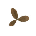 Novritsch LEAF CAMO 3D Leaves LC2, 40 Pcs – Rust