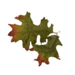 Novritsch LEAF CAMO 3D Leaves LC4, 40 Pcs – Wood