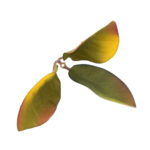 Novritsch LEAF CAMO 3D Leaves LC3, 40 Pcs – Cider