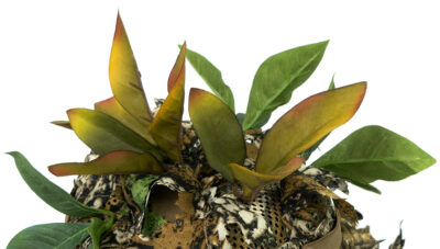 Novritsch LEAF CAMO 3D Leaves LC3, 40 Pcs – Cider - obrazek 4