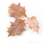 Novritsch LEAF CAMO 3D Leaves LC5, 40 Pcs – Ivory