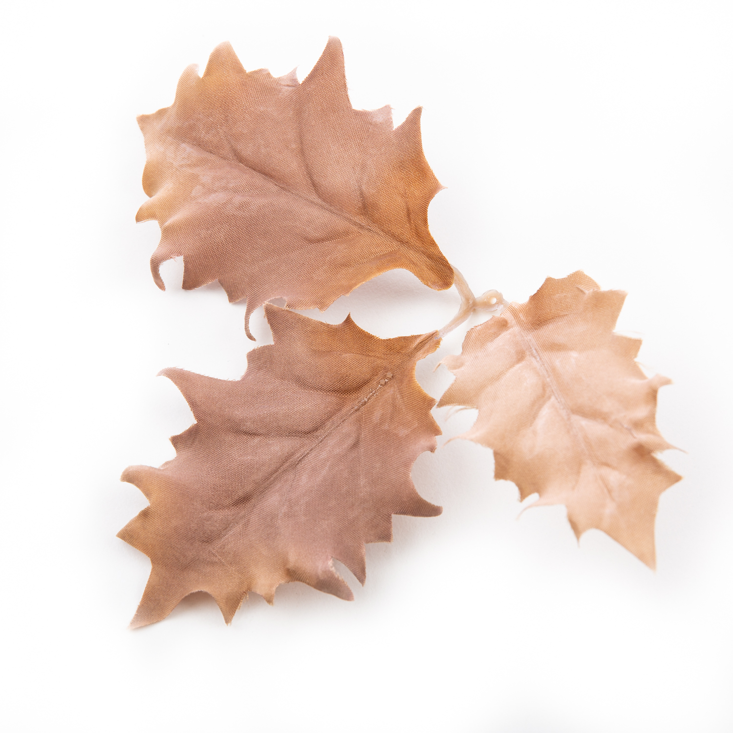 Novritsch LEAF CAMO 3D Leaves LC5, 50 pcs - Ivory NOVRITSCH120-IVO asgbox.pl Novritsch LEAF CAMO 3D Leaves LC5, 50 pcs - Ivory