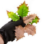 Novritsch LEAF CAMO 3D Leaves LC5, 40 Pcs – Ivory - obrazek 3