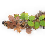 Novritsch LEAF CAMO 3D Leaves LC5, 40 Pcs – Ivory - obrazek 5