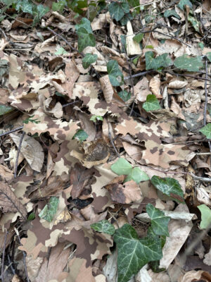 KMCS Adaptive Leafstrip (4 Pieces) - Woodland Floor - obrazek 3