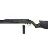 ASG Gas Rifle Hybrid Series H-22 STC GBBR - Green OD-A-ASG350-OD asgbox.pl