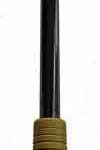 ESP Telescopic Hardened Baton 21" with Pouch - Black / Tan