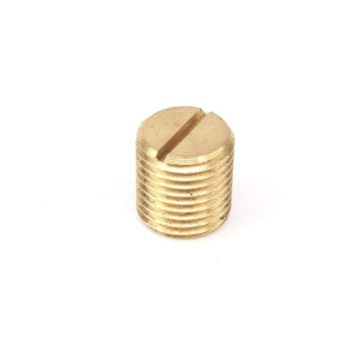 Motor Adjust Screw (metric thread M10x1)