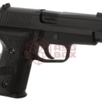 WE P228 Full Metal GBB Black