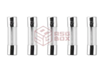 Nimrod Glass Type Fuse 5x20mm 25A 5pcs