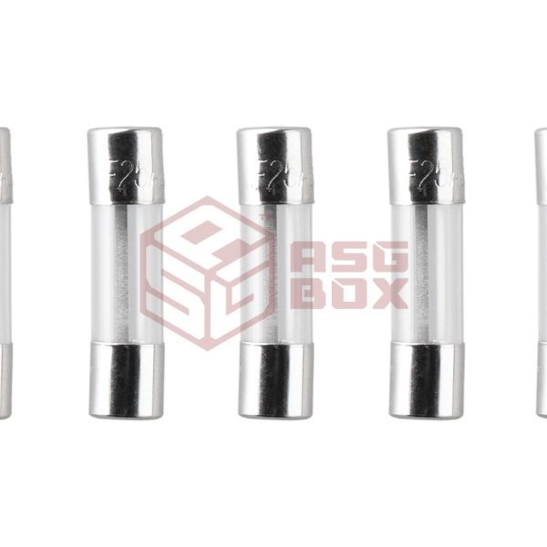 Nimrod Glass Type Fuse 5x20mm 25A 5pcs