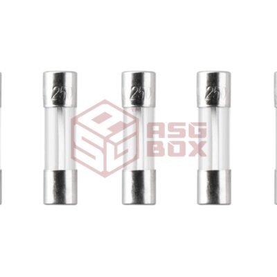 Nimrod Glass Type Fuse 5x20mm 30A 5pcs