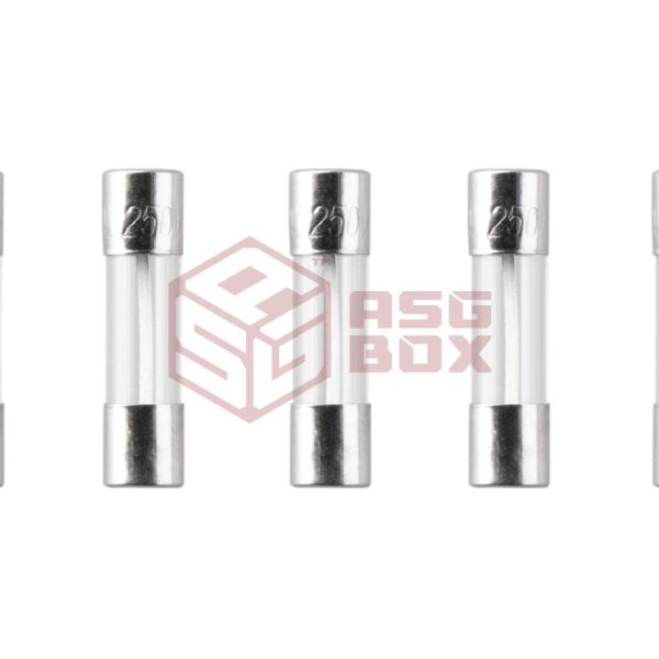 Nimrod Glass Type Fuse 5x20mm 30A 5pcs