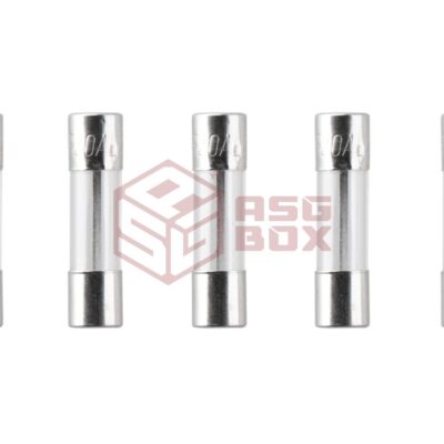 Nimrod Glass Type Fuse 5x20mm 20A 5pcs