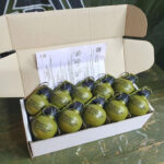 PYROSOFT 10x P-67G NATO Airsoft Hand Grenade (Peas) - Khaki - obrazek 7