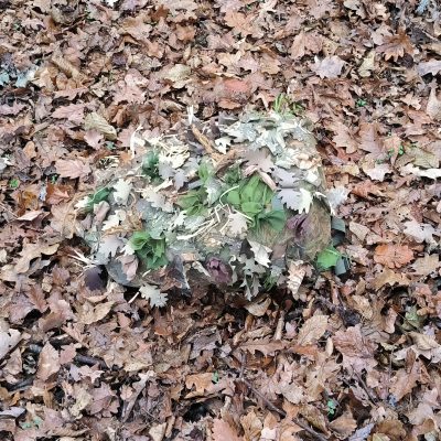 ANAREUS Pack of 3D SilkLeaf Camouflage Leaves, Medium (100 Pcs) - Brown OD-A-ANAR91-M asgbox.pl ANAREUS Pack of 3D SilkLeaf Camouflage Leaves, Medium (100 Pcs) - Brown OD-A-ANAR91-M asgbox.pl