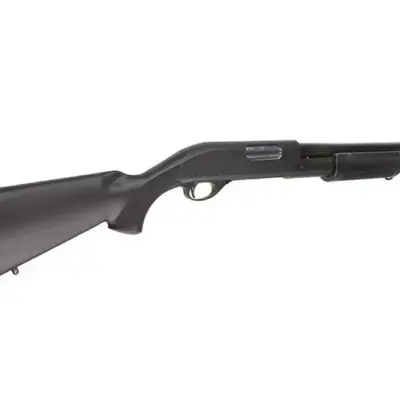 asgbox.pl - Replika strzelby CM350LM (wersja metalowa)