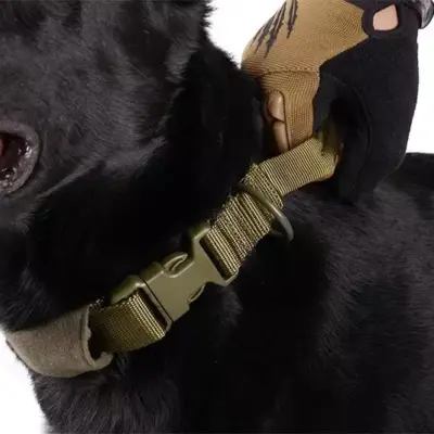 Alternative view of Taktyczna obroża dla psa - oliwkowa