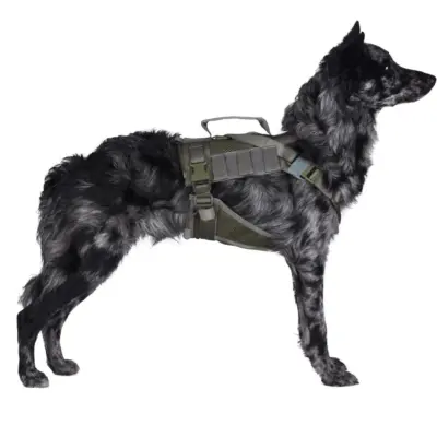 Alternative view of Szelki taktyczne dla psa - ranger green