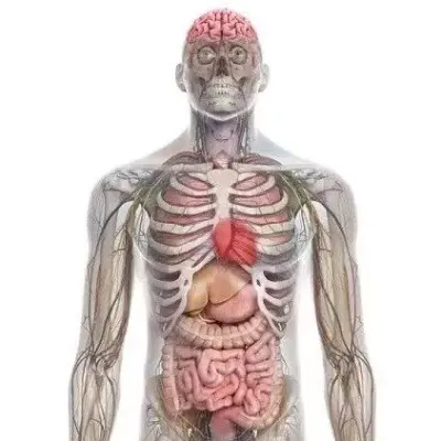 asgbox.pl - Tarcza strzelecka Pegi18 - 50 sztuk