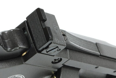 ASG CO2 Dan Wesson 8" Revolver - Gray - obrazek 6