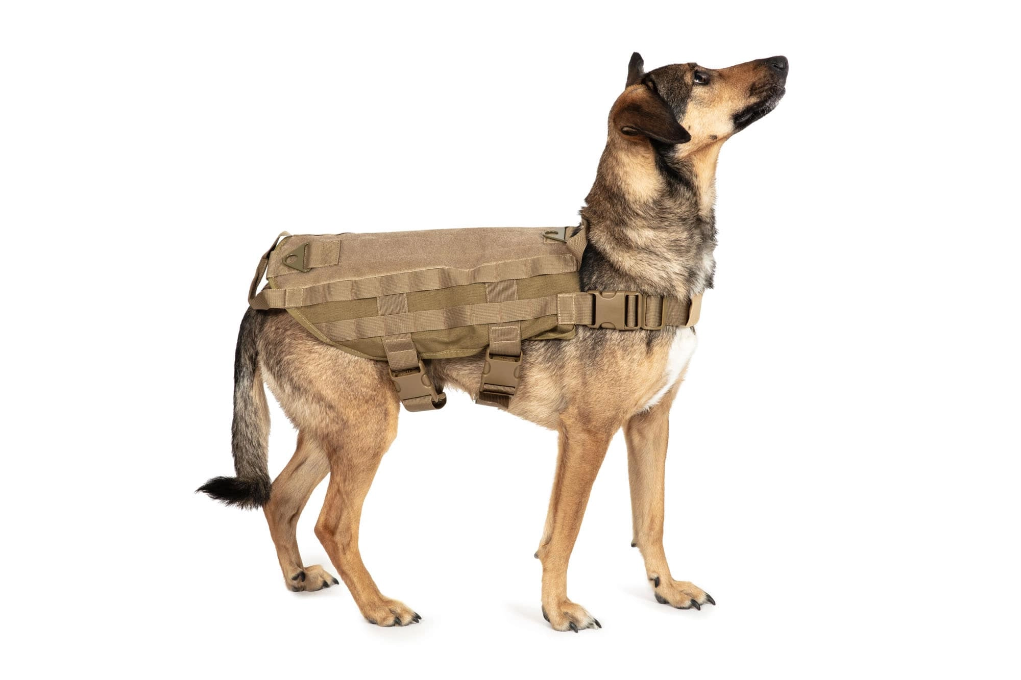 Taktyczna kamizelka dla psa - tan OD-G-PRI-18-017430-04 asgbox.pl Taktyczna kamizelka dla psa - tan - obrazek 4