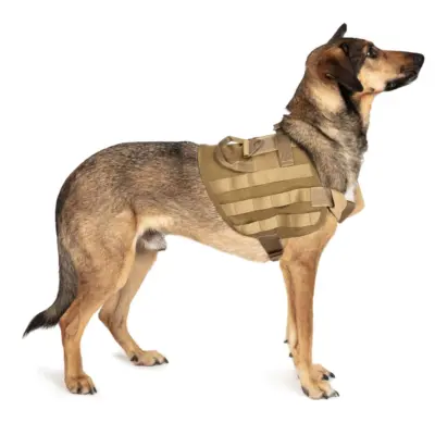 asgbox.pl - Lekka kamizelka dla psa - tan