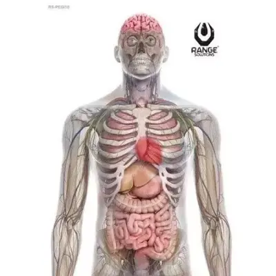 Tarcza strzelecka Pegi18 - 50 sztuk RAN-14-021475-00 asgbox.pl