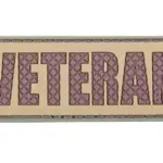 asgbox.pl - Naszywka 3D - Veteran - olive